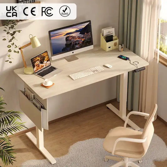 Standing Desk Electric Ergonomic Office Desk Computer Desk Height Adjustable Table with USB Port