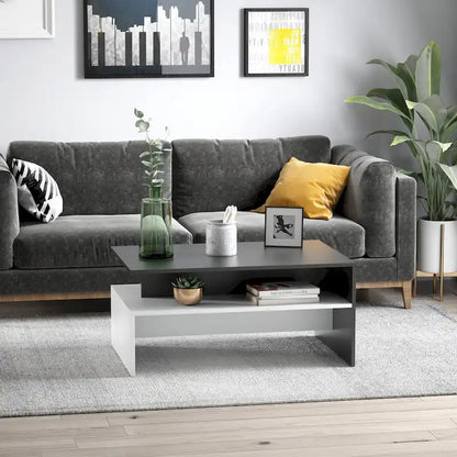 Modern Coffee Table, 2-tier Rectangular Center Table with Storage Shelves for Living Room, Black/White
