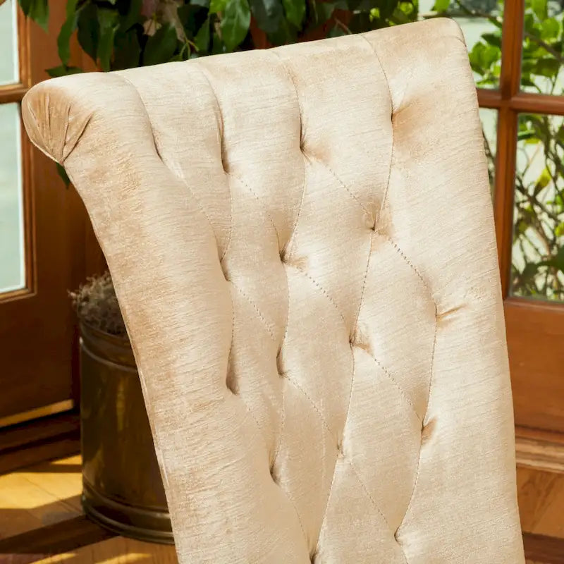 Venetian Tufted Dining Chairs (Set of 2) by Christopher Knight Home