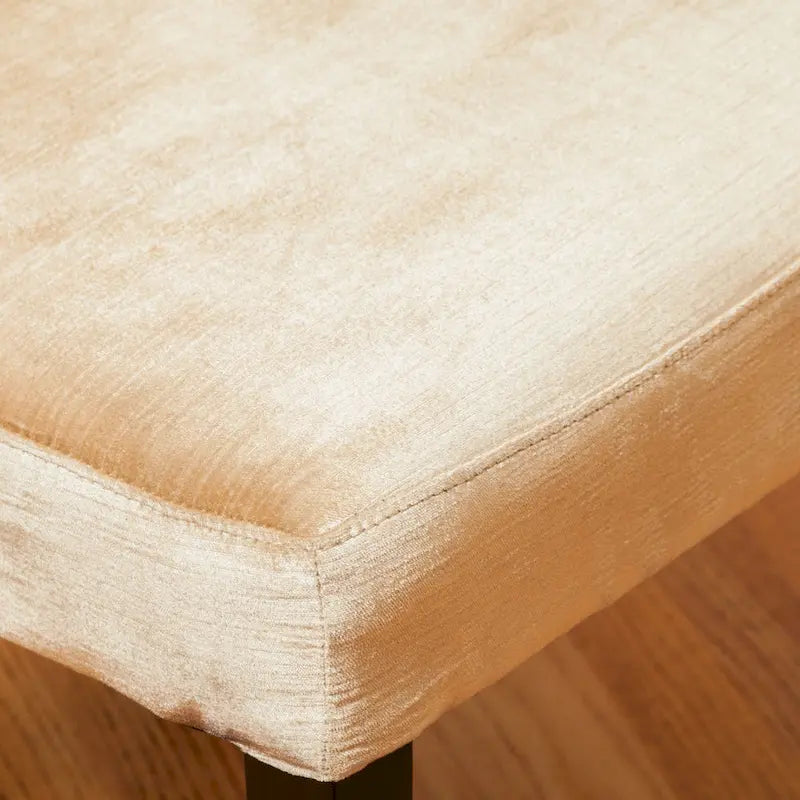 Venetian Tufted Dining Chairs (Set of 2) by Christopher Knight Home