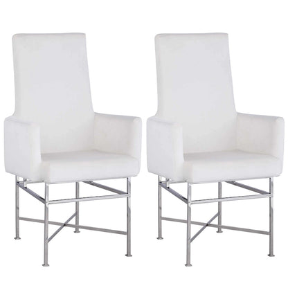 Somette Contemporary Arm Chair with Steel Frame, Set of 2