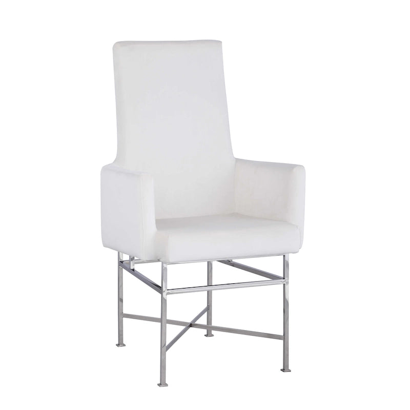 Somette Contemporary Arm Chair with Steel Frame, Set of 2