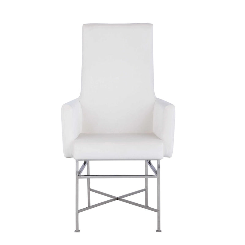 Somette Contemporary Arm Chair with Steel Frame, Set of 2