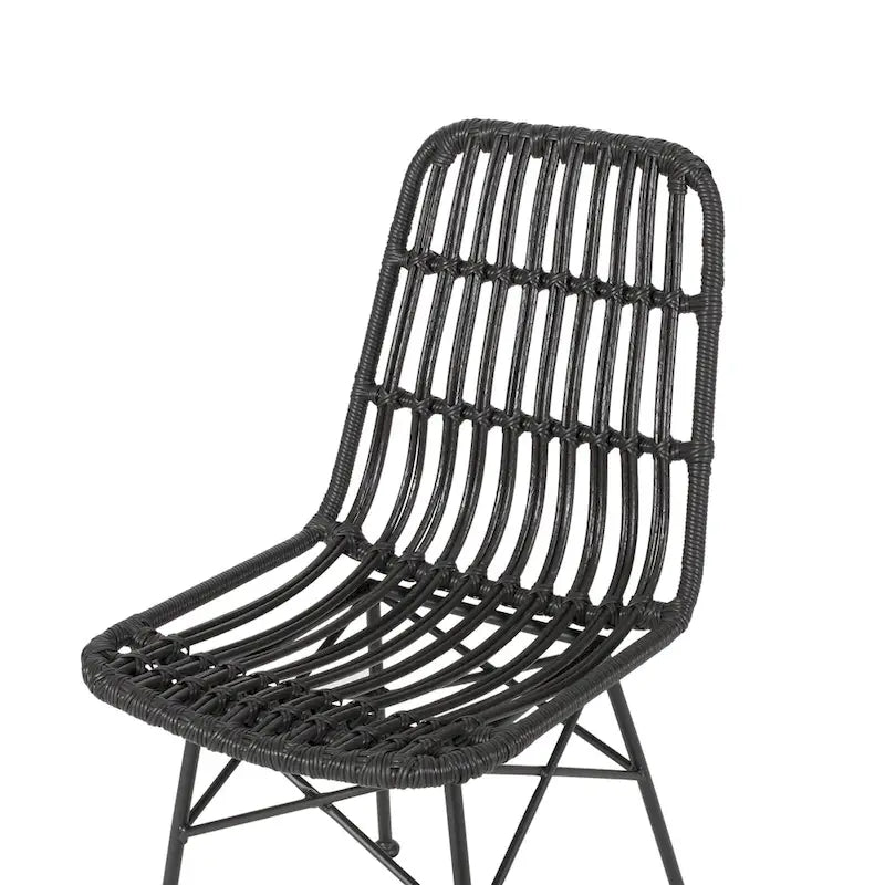 Assisi Wicker Dining Chairs (Set of 2) by Christopher Knight Home