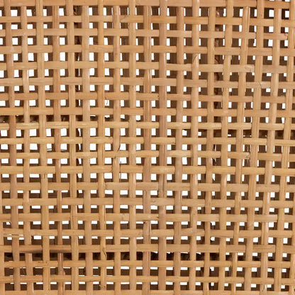 Lesia Modern Bohemian Natural Brown Rattan and Espresso Brown Mahogany Wood Dining Chair