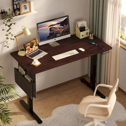 Standing Desk Electric Ergonomic Office Desk Computer Desk Height Adjustable Table with USB Port