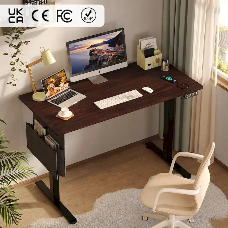 Standing Desk Electric Ergonomic Office Desk Computer Desk Height Adjustable Table with USB Port