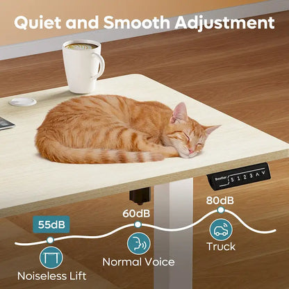 Standing Desk Electric Ergonomic Office Desk Computer Desk Height Adjustable Table with USB Port