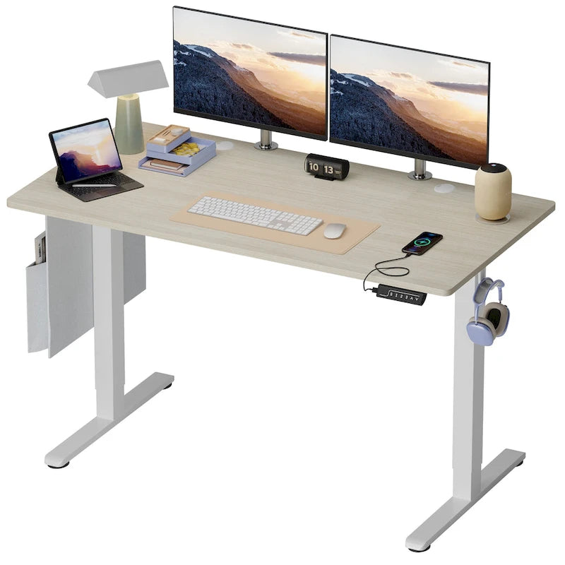 Standing Desk Electric Ergonomic Office Desk Computer Desk Height Adjustable Table with USB Port